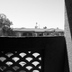 Image for article titled Shooting Challenge: Black & White 3